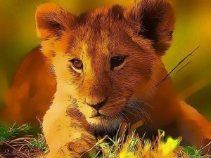 Wild Baby Animals Jigsaw Puzzle Game