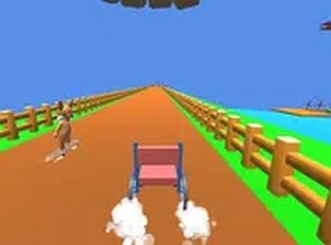 Rolling Seeker: Duck Discovery