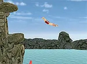 Precision Dive Arcade